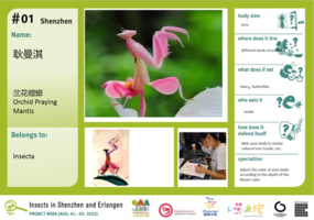 Insekten in Erlangen und Shenzhen - Empfang und Ausstellung am 16. Dezember