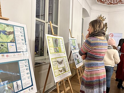 Insekten in Erlangen und Shenzhen - Empfang und Ausstellung am 16. Dezember