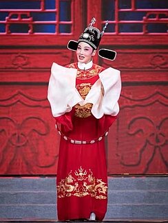 Prinzgemahlin wider Willen oder die Geschichte der Feng Suzhen
